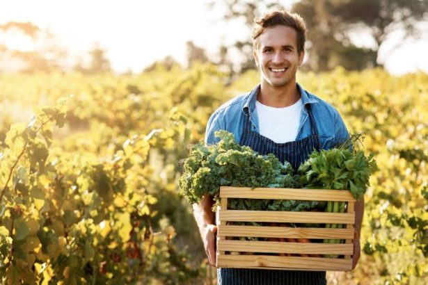 Paulo Augusto Berchielli