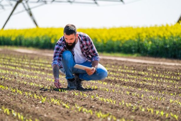 Agenor Vicente Pelissa