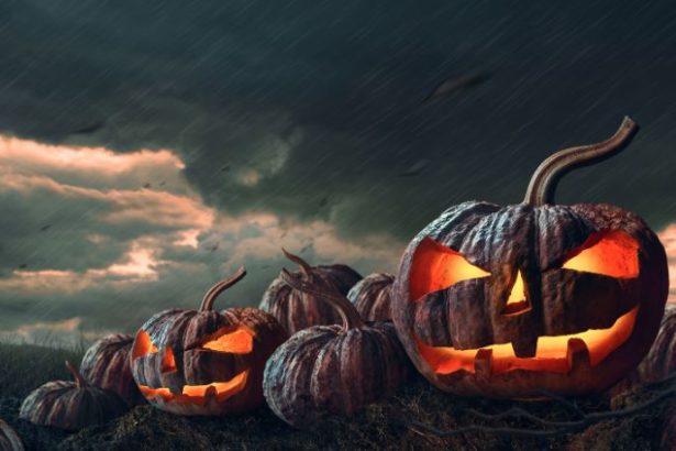 Lucio Fernandes Winck