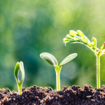 João Eustáquio De Almeida Junior constrói, ao longo de 30 anos, uma trajetória marcada por crescimento consistente e decisões estratégicas que moldaram resultados duradouros.