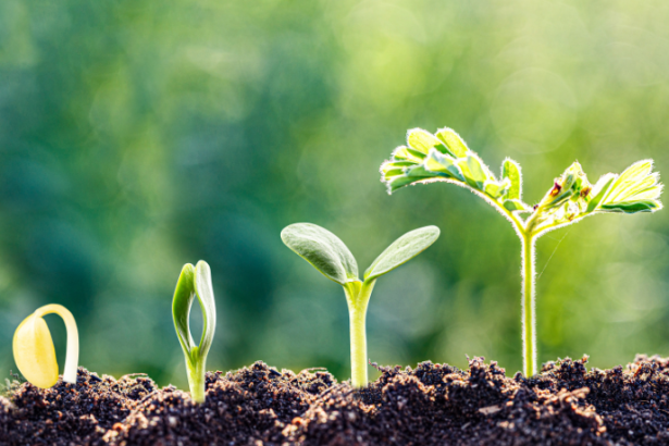 João Eustáquio De Almeida Junior constrói, ao longo de 30 anos, uma trajetória marcada por crescimento consistente e decisões estratégicas que moldaram resultados duradouros.