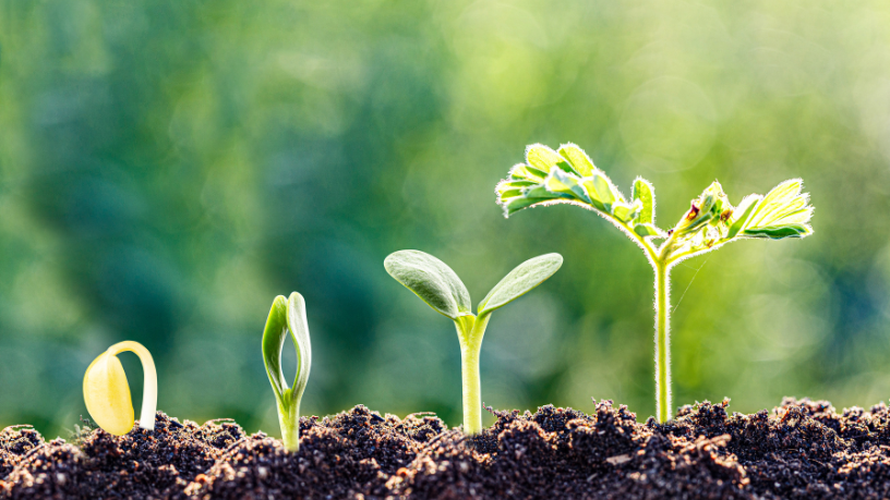 João Eustáquio De Almeida Junior constrói, ao longo de 30 anos, uma trajetória marcada por crescimento consistente e decisões estratégicas que moldaram resultados duradouros.