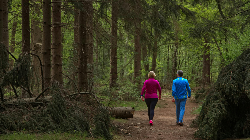 Daugliesi Giacomasi Souza