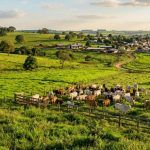 Guilherme Silva Ribeiro Campos