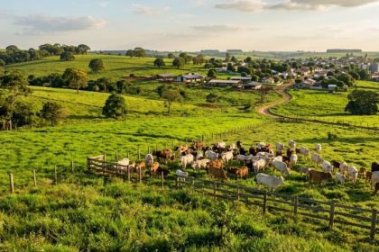 Guilherme Silva Ribeiro Campos