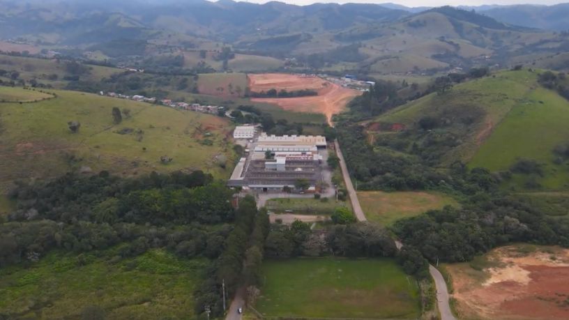 Família Shih